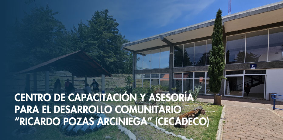 Centro de Capacitación y Asesoría para el Desarrollo Comunitario “Ricardo Pozas Arciniega” (Cecadeco). 