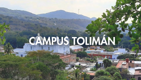 CAMPUS TOLIMAN