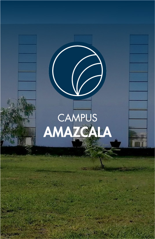 CAMPUS AMAZCALA