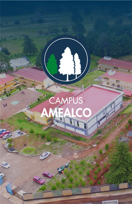 CAMPUS AMEALCO
