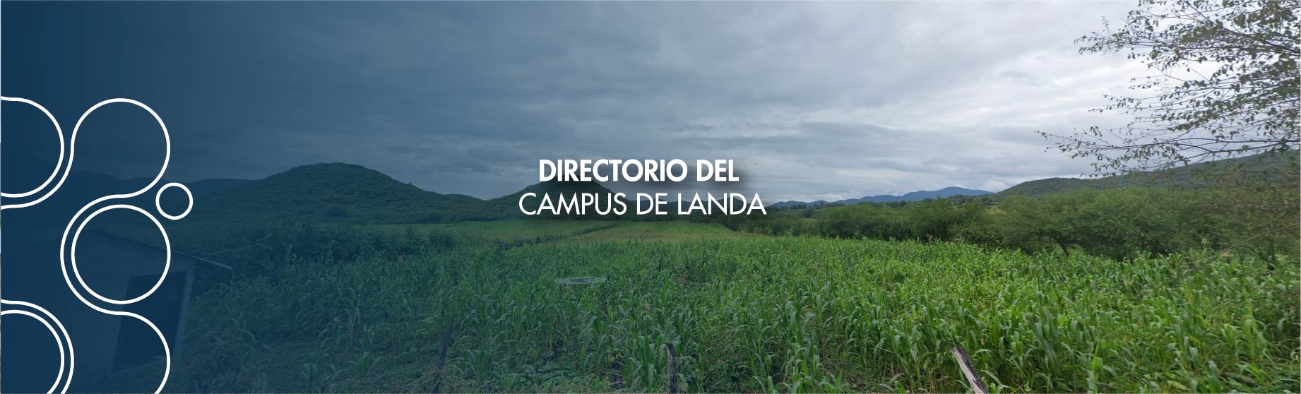 Directorio Landa